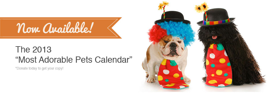 <b>All proceeds go to HEART</b> - To get your copy, visit us at any of our Adoption Events or make a Donation online and request a calendar with your donation!