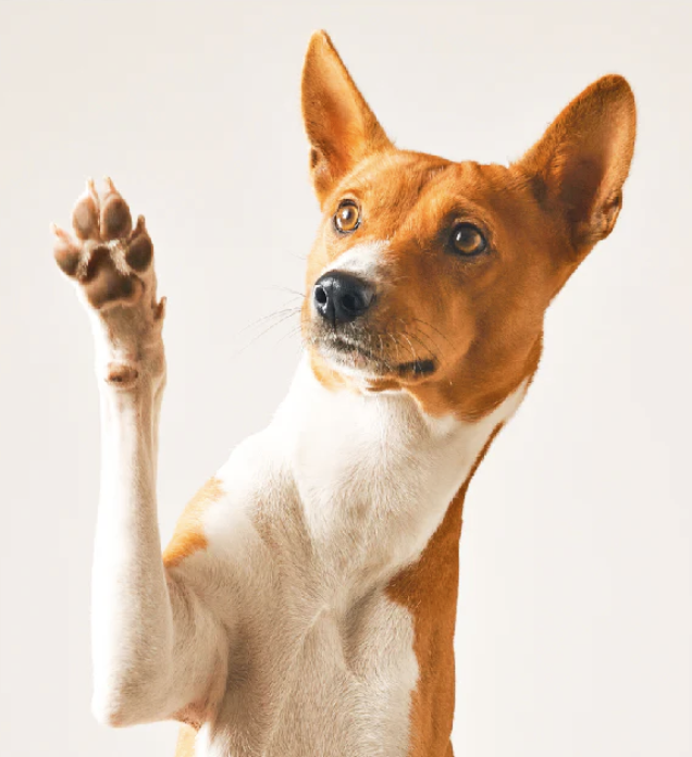 Screenshot 2026-04-07 at 11.18.44 AM